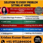 WhatsApp Image 2025-01-27 at 10.50.24